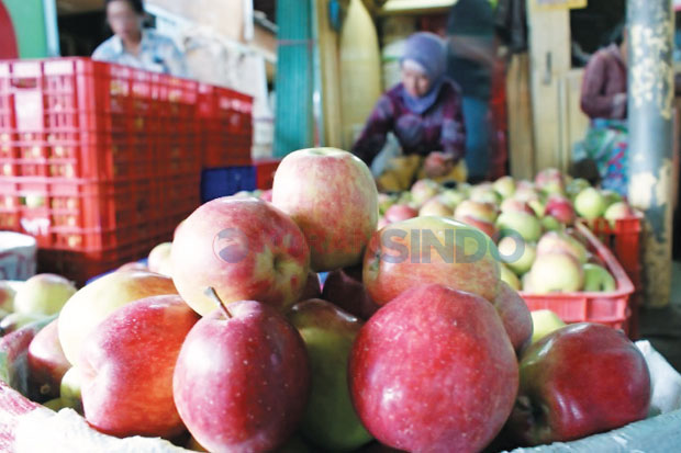 Petani Dukung Apel AS...