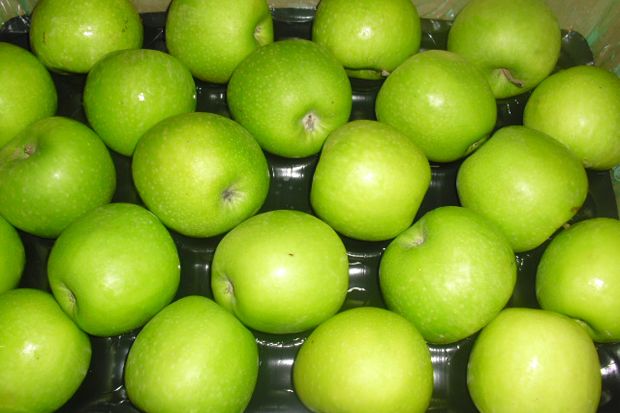 Apel Granny Smith dan...