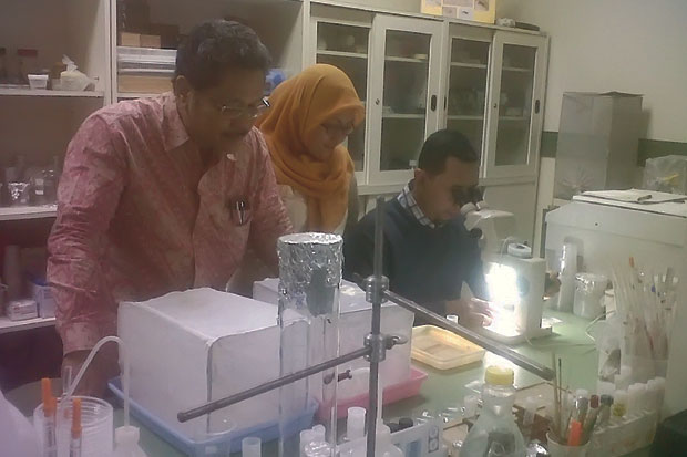 Produksi Massal Herbal...