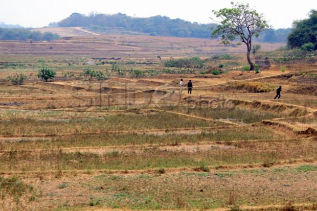 Saluran Irigasi Lima...