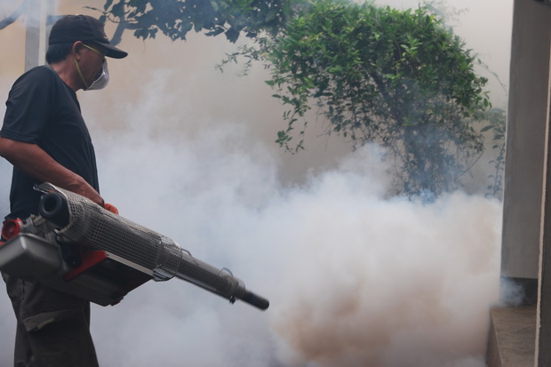 Bahaya! Fogging Bisa...