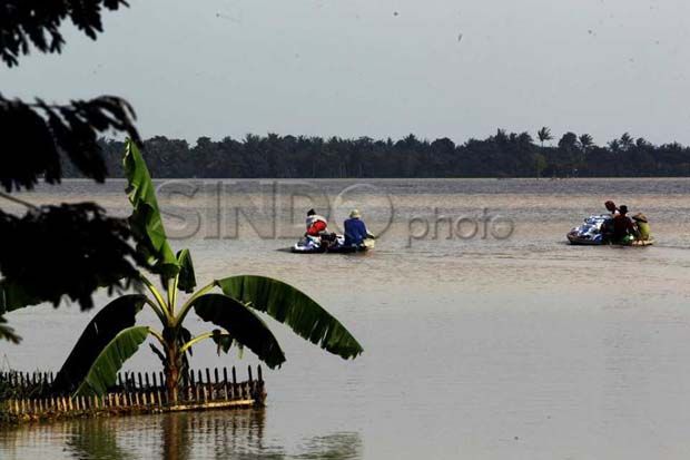 Ribuan Hektare Sawah...