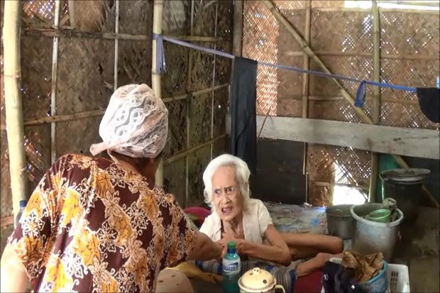 Sebatang Kara, Janda...