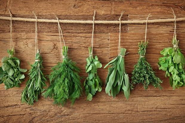 7 Tanaman Herbal untuk...