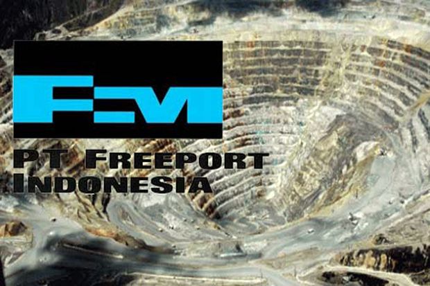 Pemerintah Bingung Urus...