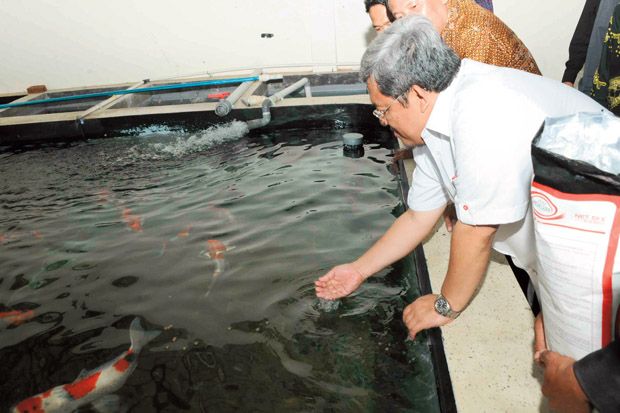 Produksi Ikan dan Susu...