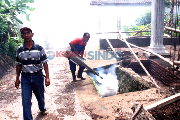 Dinkes Gencarkan Fogging