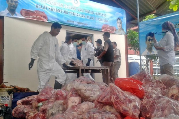 Sindikat Daging Celeng...