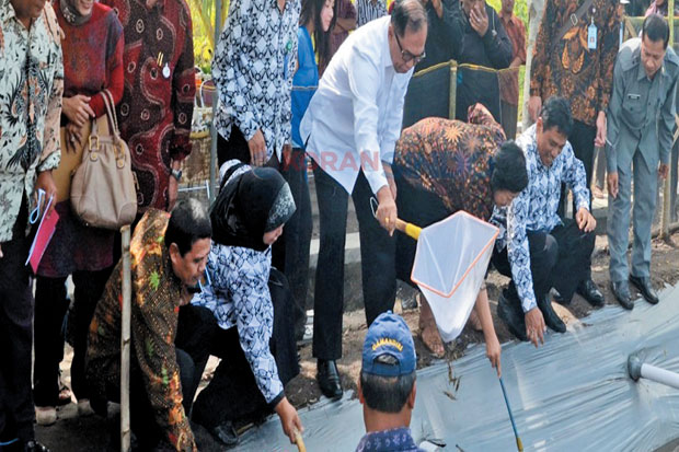 Pola Tanam Sleman Dinasionalkan