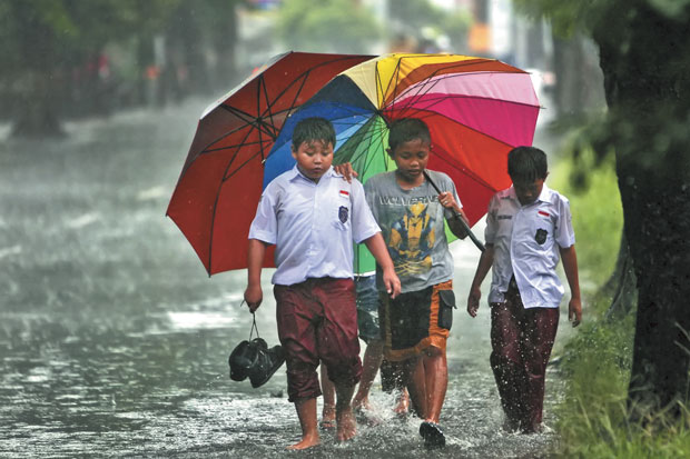 Sampah Rumah Tangga...