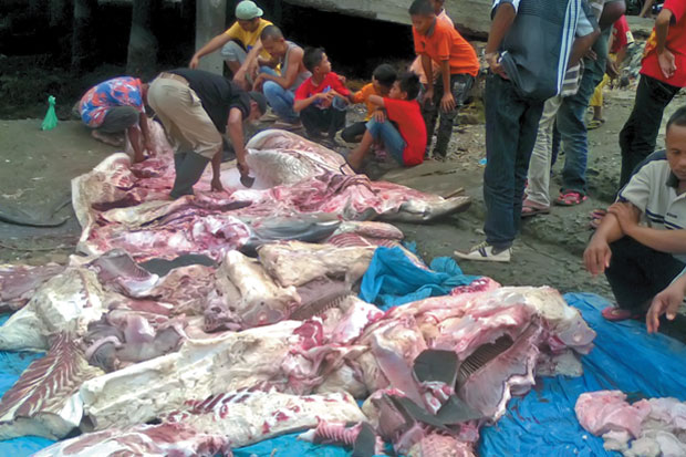 Nelayan Tanjung Tiram...