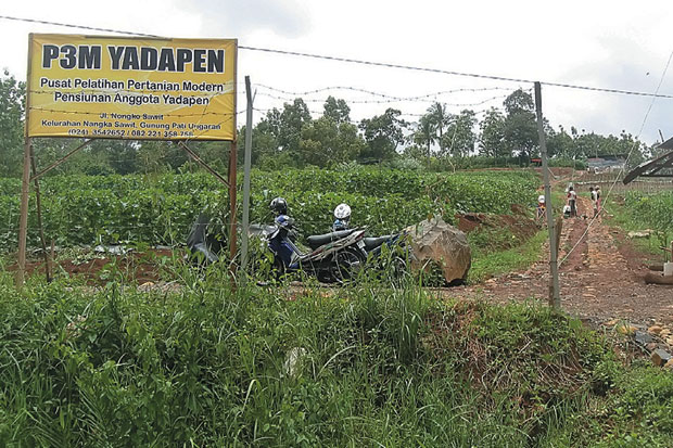Bertani, Pilihan Mengisi...