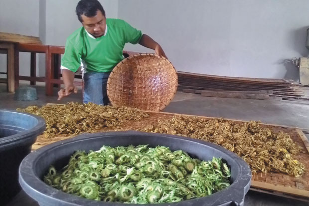 Mampu Turunkan Gula...