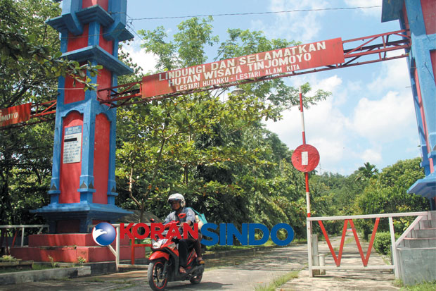 Tak Terurus, Taman Tinjomoyo...