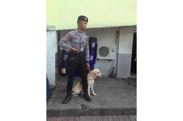 Pasca Bom, Anjing Pelacak...