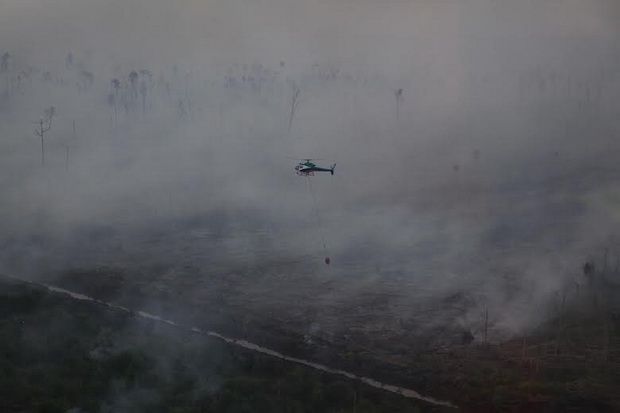 Kebakaran Hutan di Riau...