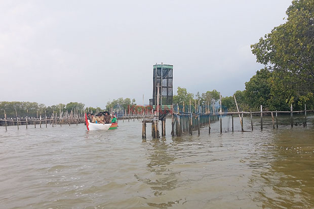 Alternatif Wisata Bahari...