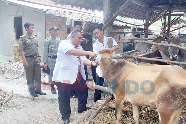 Bahan Bakar Alternatif,...
