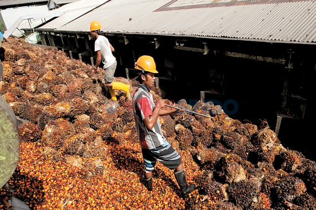 Pertumbuhan Industri...