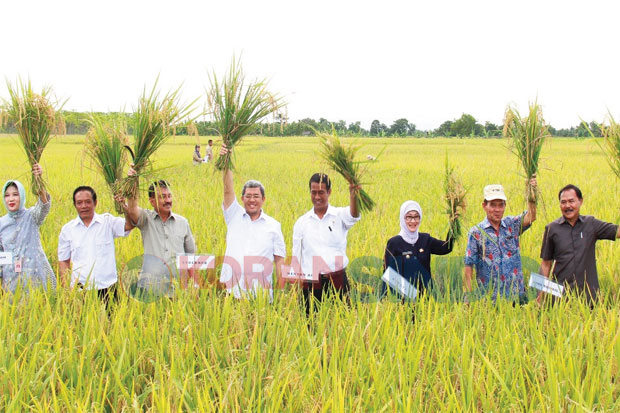 Indramayu Nyatakan Siap...