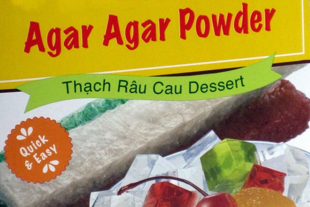 Agar-agar Tidak Jadi...