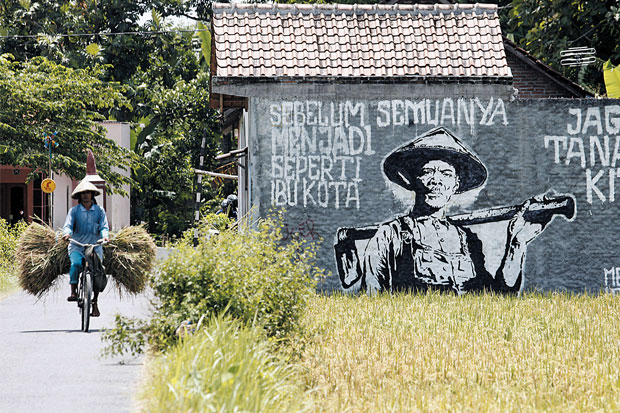 Lahan Sawah Susut Ribuan...