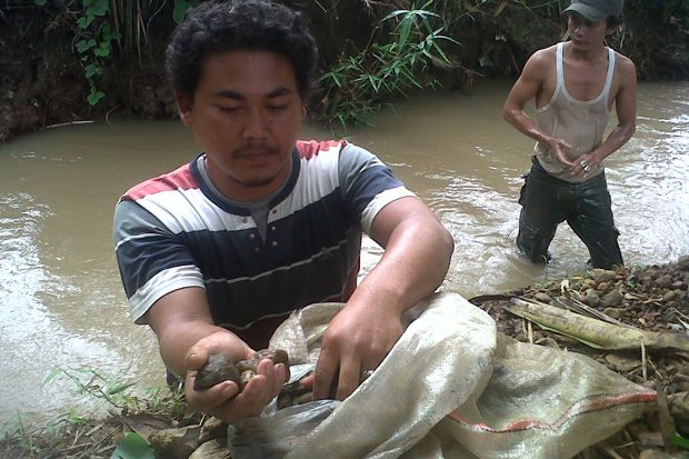 Cari Batu Akik, Sungai...