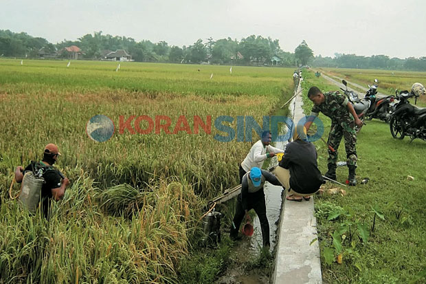 14,5 Hektare Lahan Pertanian...