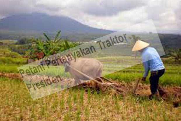 Petani Pertanyakan Traktor...