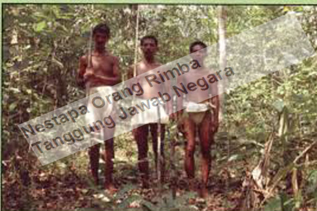 Nestapa Orang Rimba...