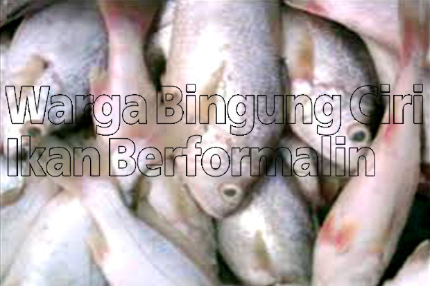 Warga Bingung Ciri Ikan...