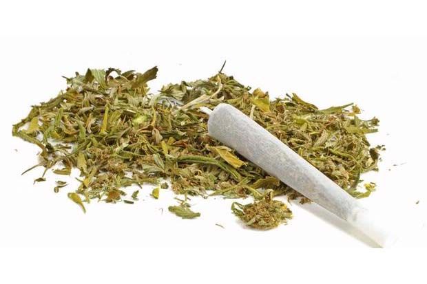 Edarkan Ganja, Pedagang...