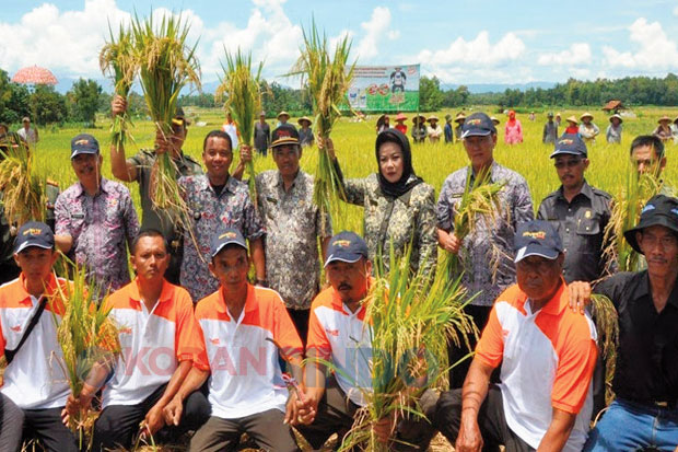 Kuningan Surplus Beras...