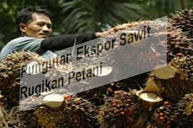 Pungutan Ekspor Sawit...