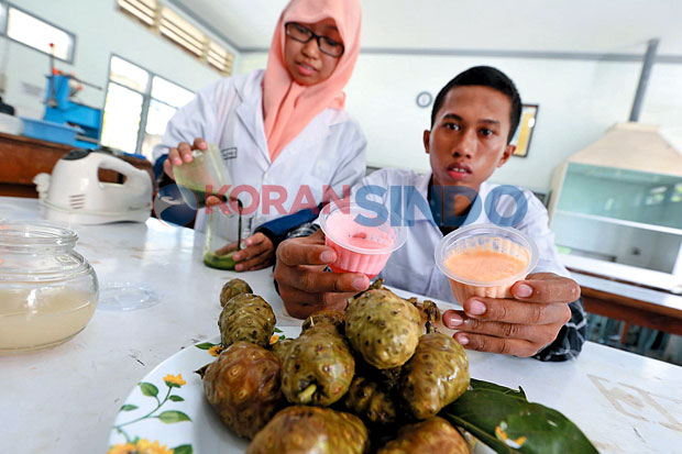 Sulap Buah Mengkudu...