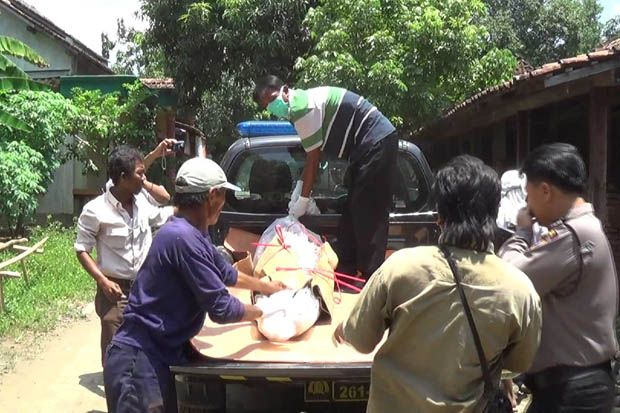 Ibu Muda Tewas saat...