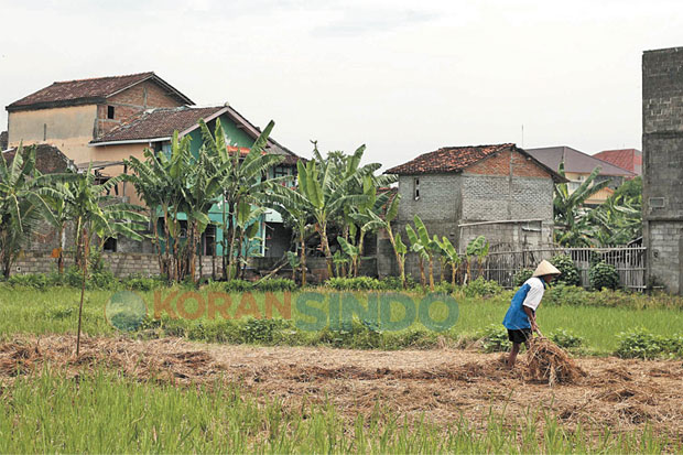 Pemda DIY Hanya Sanggup...