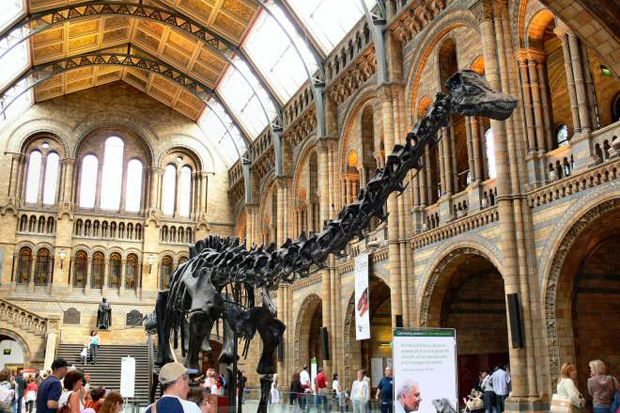 Natural History Museum...