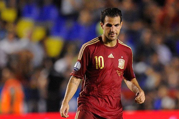 Karir Fabregas di Timnas...