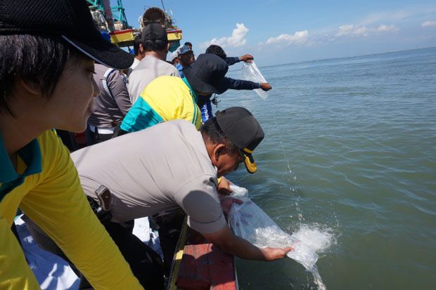 30.000 Benih Ikan Ditabur...