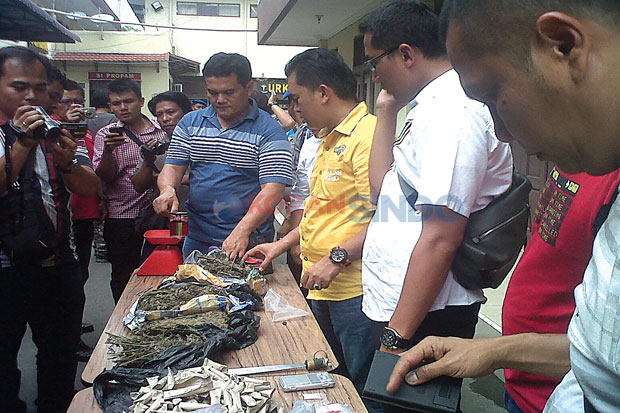 Polisi Gerebek Sarang...