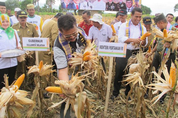 Mentan Janji Jadikan...
