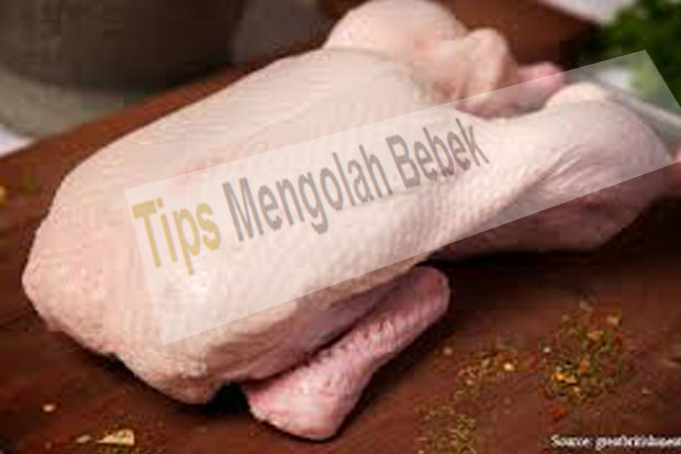 Tips Mengolah Bebek