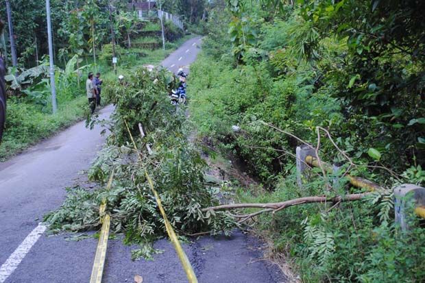 Jalur Sedayu-Kasihan...
