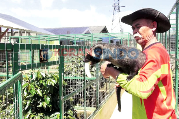Jadi Langganan Negara-negara...