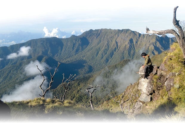 Romantisme Puncak Gunung...
