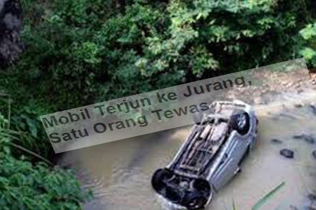 Mobil Terjun ke Jurang,...