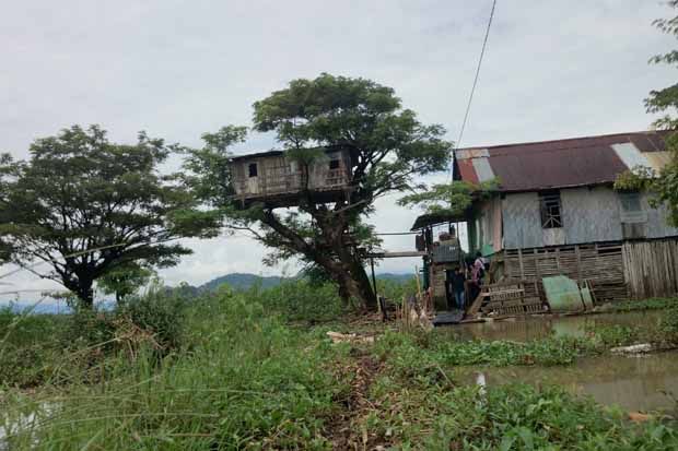 Ibu 60 Tahun Hidup di...