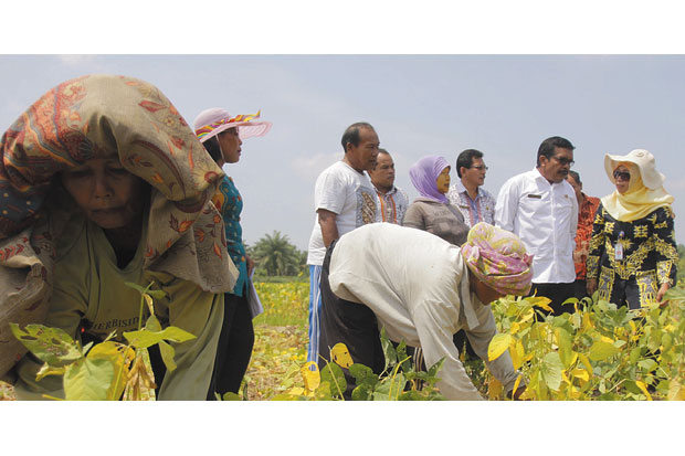 Petani Kedelai Risau...
