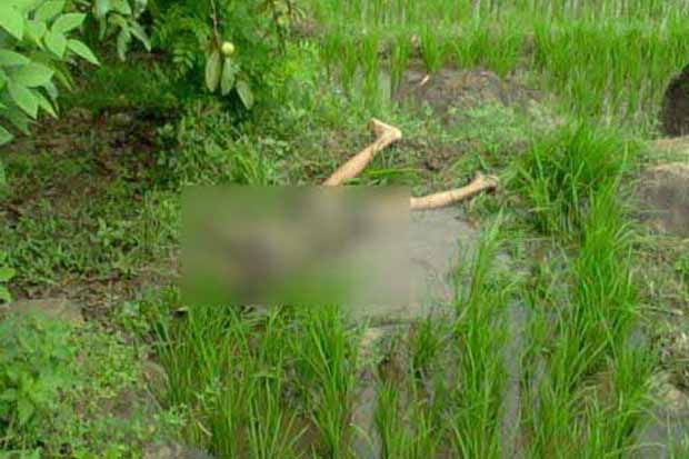 Dua Pelajar SMP di Majalengka...
